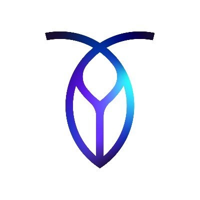 A data source for CockroachDB